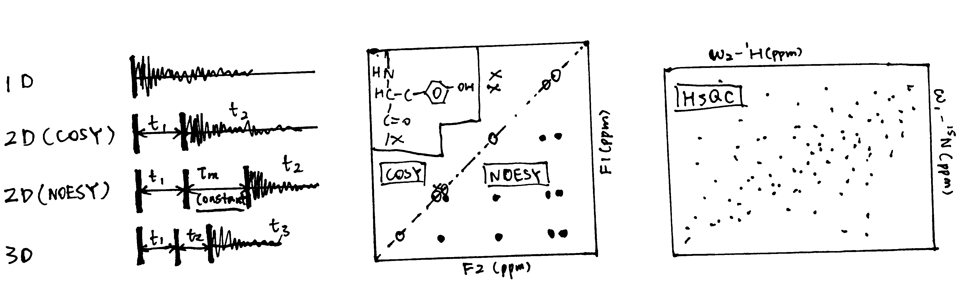 Schematic of 1D, 2D and 3D NMR, and sample 
